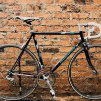Rolf Bianchi Black